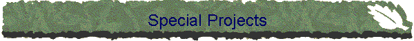Special Projects